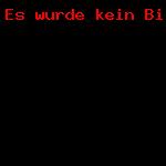 Ausstellungen in der Galerie